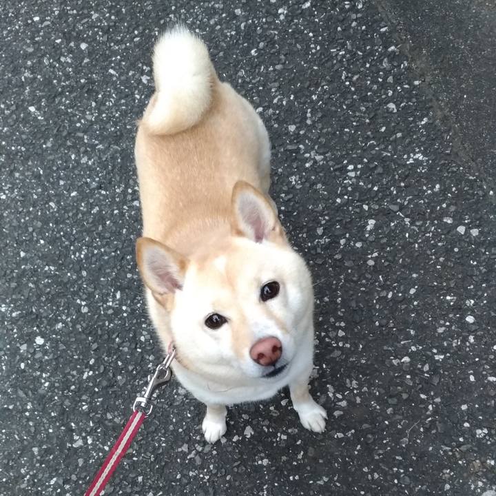 674ed023 ed99 4b32 8d39 a81d972c5e54 1607467417133