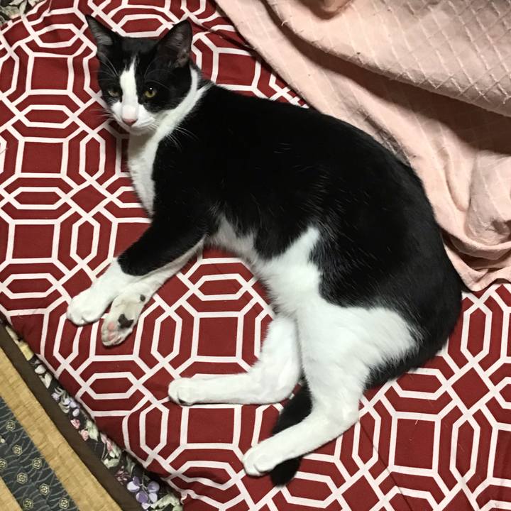 674edb17 5c50 4270 be5f 9efe02248f9b 1636883600365