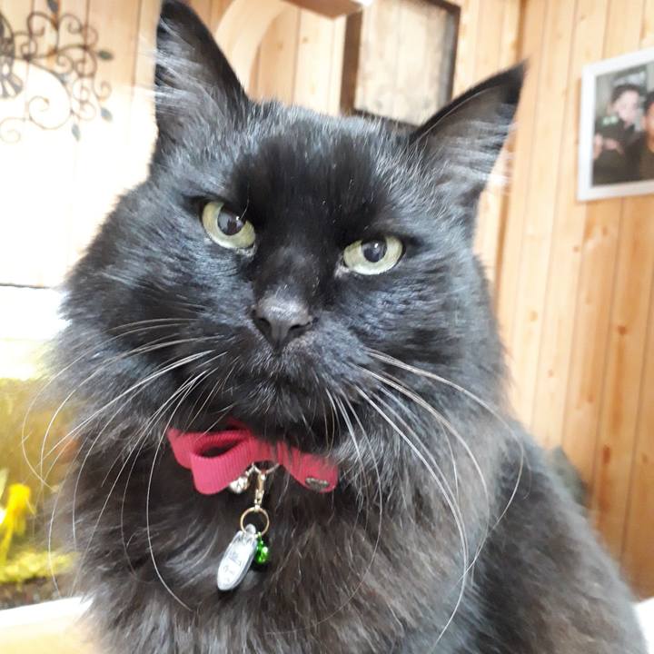 674ef2cb d42b 41d6 9431 a9b6153313cf 1518031098147