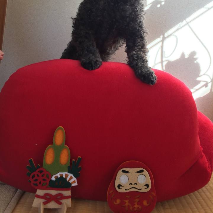 674f459e 8990 4fd0 aef1 8d55bbdc7473 1736158402005