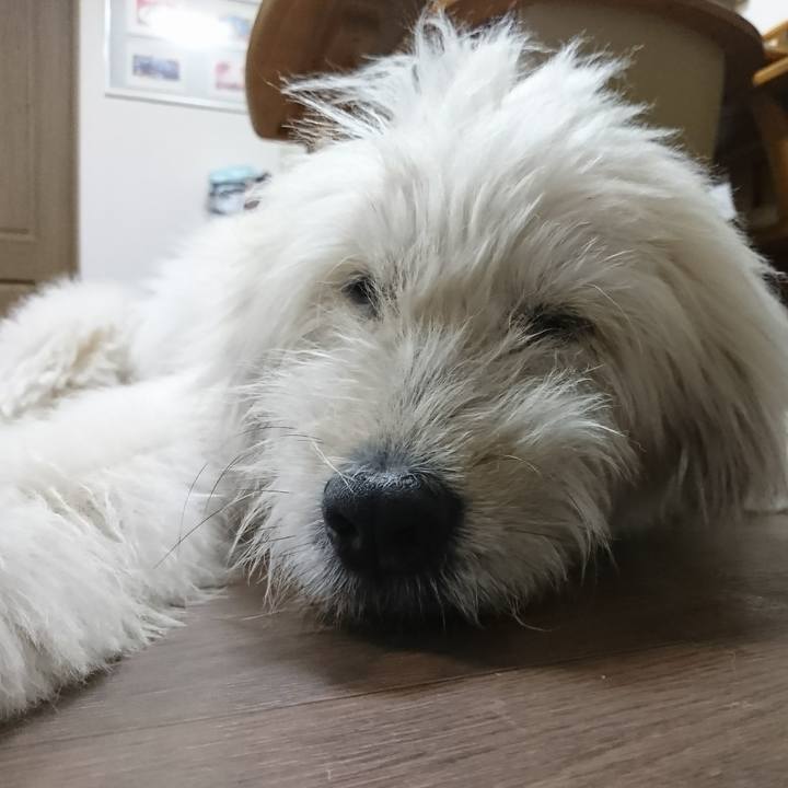 674fbadf f2ac 4767 bc11 774bb5424fb5 1603704639864