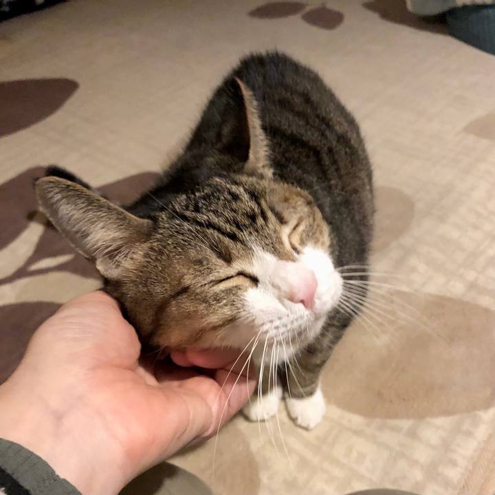 674fc7fd a6ce 414f 9dcc cf45f84229eb 1732005311862