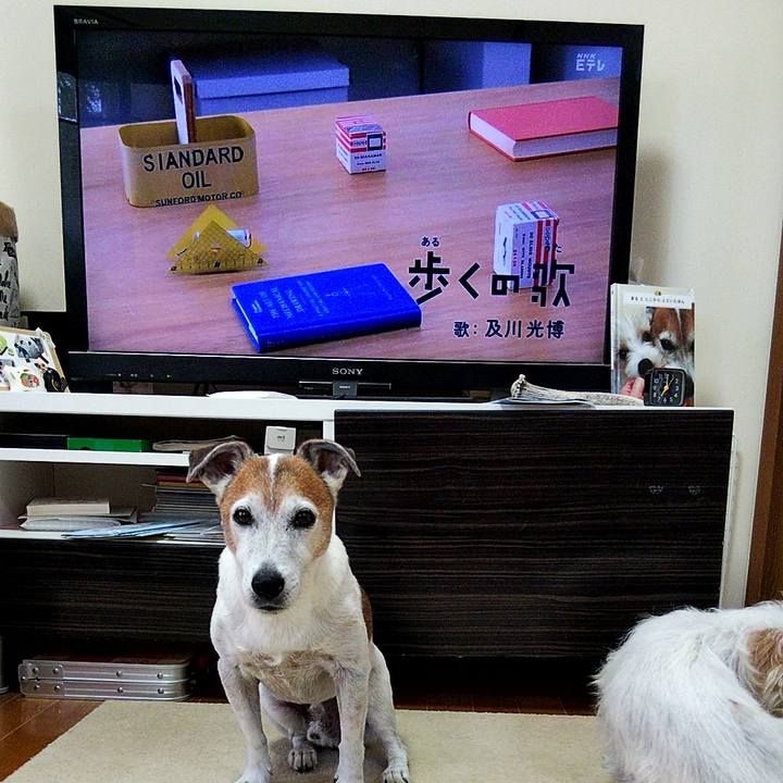 675036ed 7afa 4666 a1ee 07e0fa3634f4 1567548687081