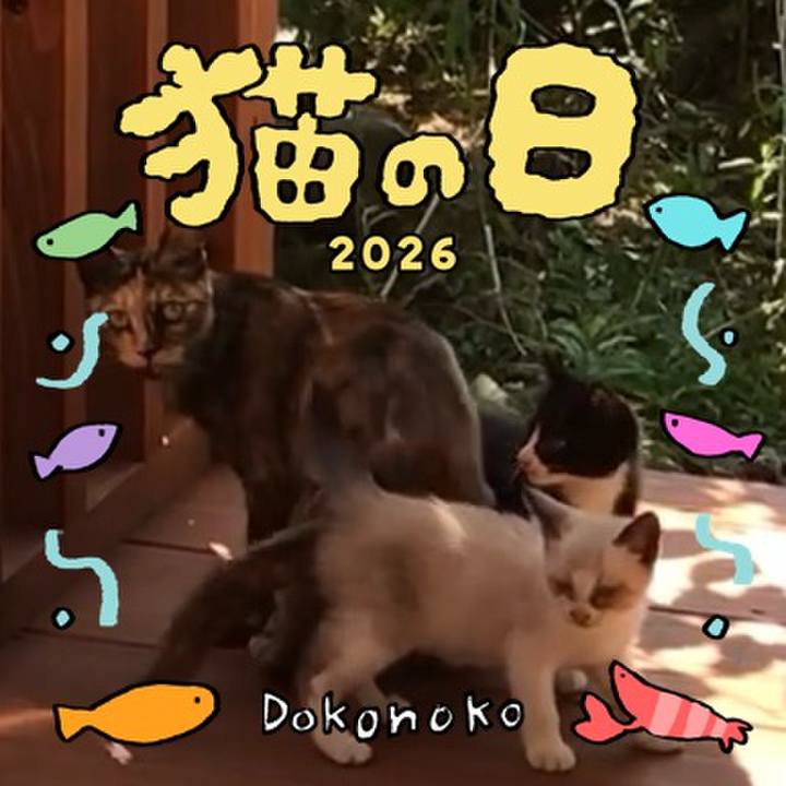 67505383 1828 439b 843b cb657e0ce01e 1771796305800