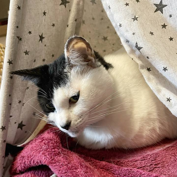 67507ce7 3e95 4a6c 955d f9a1bd6915cc 1765752752707