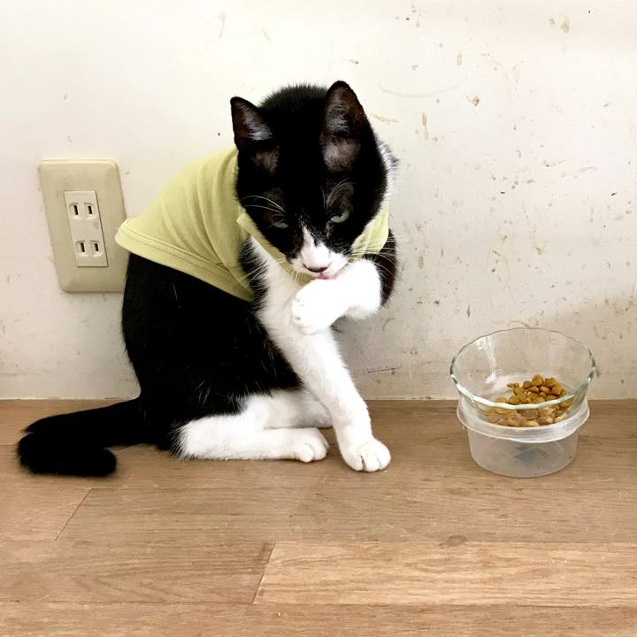 675098bd ab2f 4be6 a5df cccad8b81e95 1539759687894