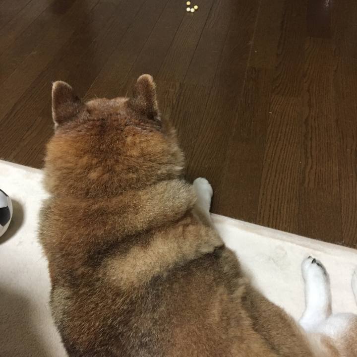 6750f0a5 b42e 467f 890e d768e84dc0bf 1559379795539