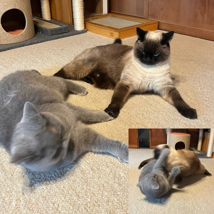 67510403 febb 48f1 9f62 62327a71f3de 1650257545543