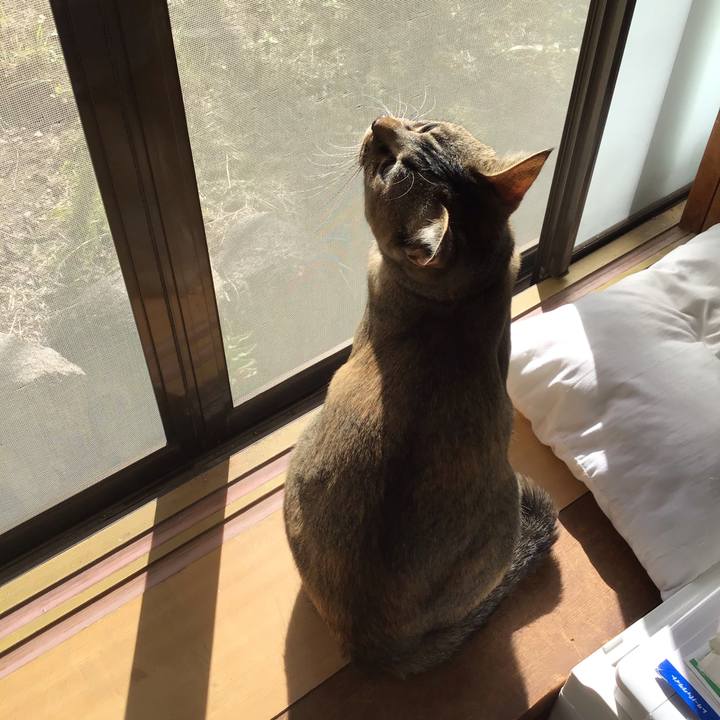 67511da7 fe26 4b70 87d6 1695d915f43b 1584665196983