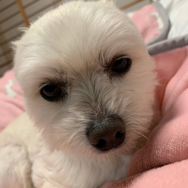 67512101 d8f9 4e5e 906b 086e2657a378 1618831572175