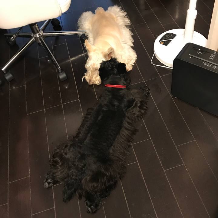 675124ce c5f0 44a5 a6ed e7c3219352e5 1532337826785