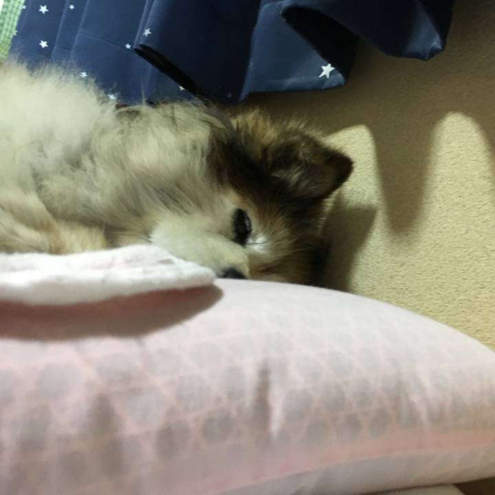 67512c25 68fa 4307 a8bc afbfd224cb33 1630234983610