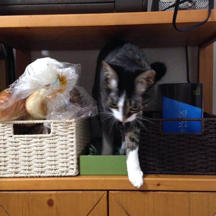 67519f9f fa37 4870 8fc1 4393abf6cfa3 1512611718644