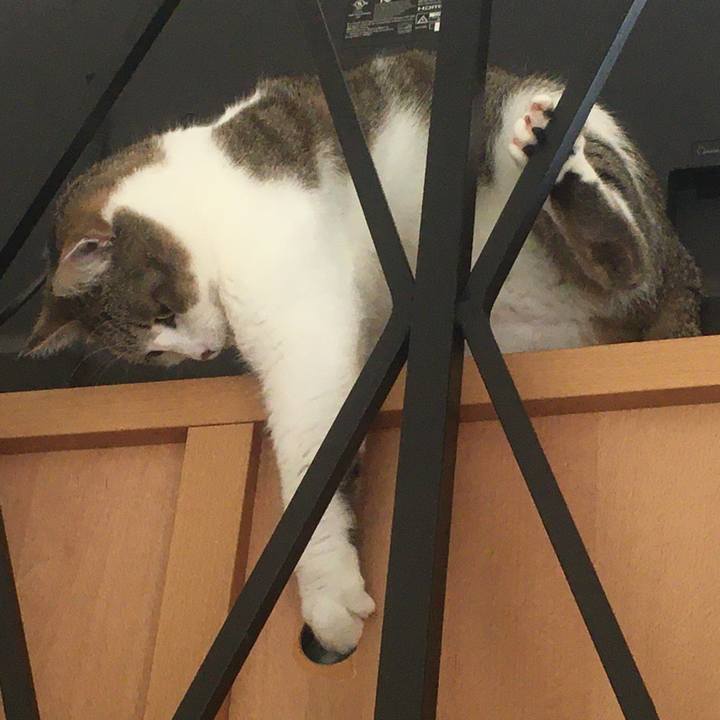 6751a7d0 a7dc 4db9 92c2 e72429baa223 1619227143040