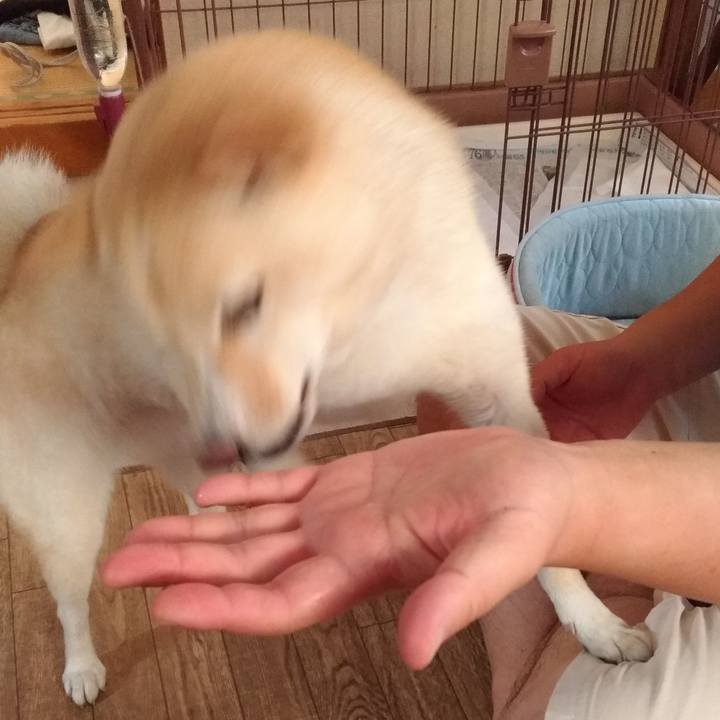 6751ef5a e378 4344 93f8 b0990bbe92e5 1567810687981