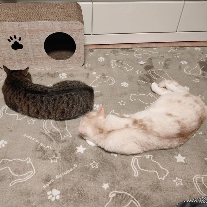 67520ec5 f12e 46cf a924 a7a7ff5637be 1666696652147