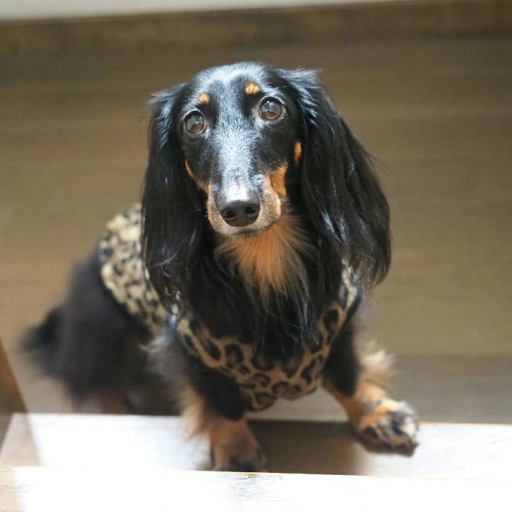 67524a1e e524 4c11 9460 9047db18236c 1535073889879