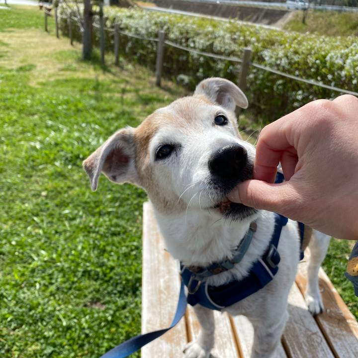 675272b5 f583 40c8 9f79 c0e8a482e743 1647748329298