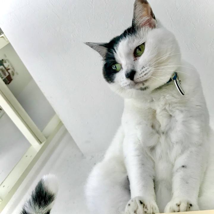 67528602 6a30 4bf8 ad33 c5579c026081 1595992835217