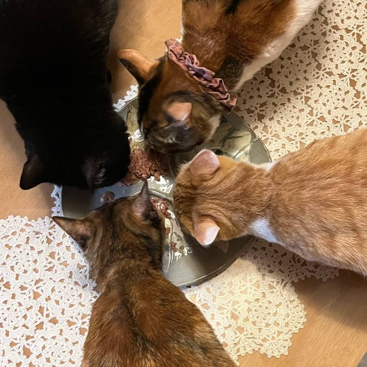 67529f5b 4824 433a 900f 6497b198a855 1674337940498