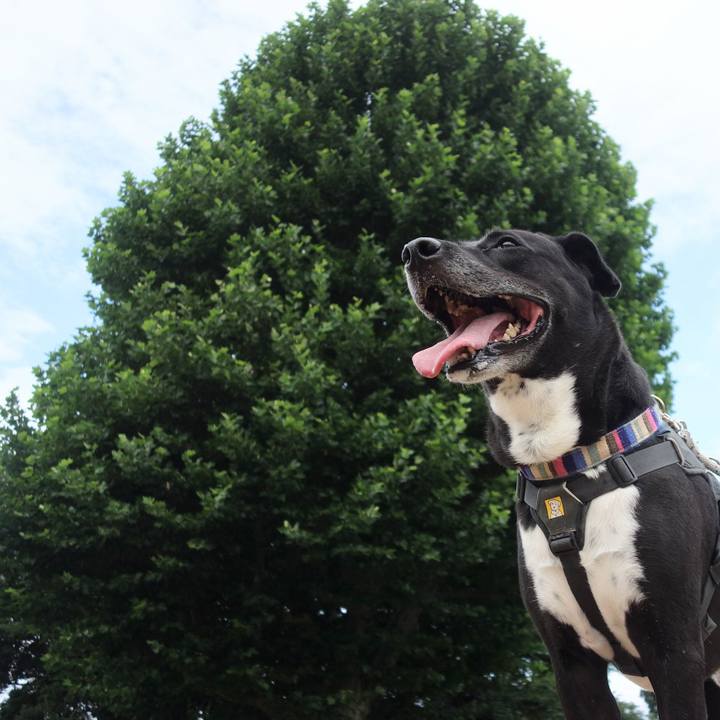 6752bddd 0dfc 47d1 888e 394e3607c2b8 1657409891208