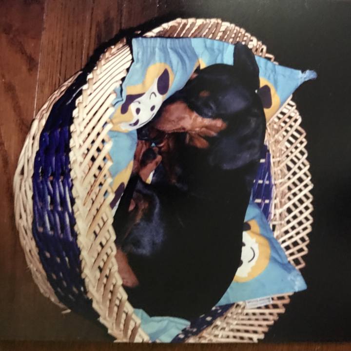 6752df5d 0026 4087 97ad ba7a1351cbed 1527597754174