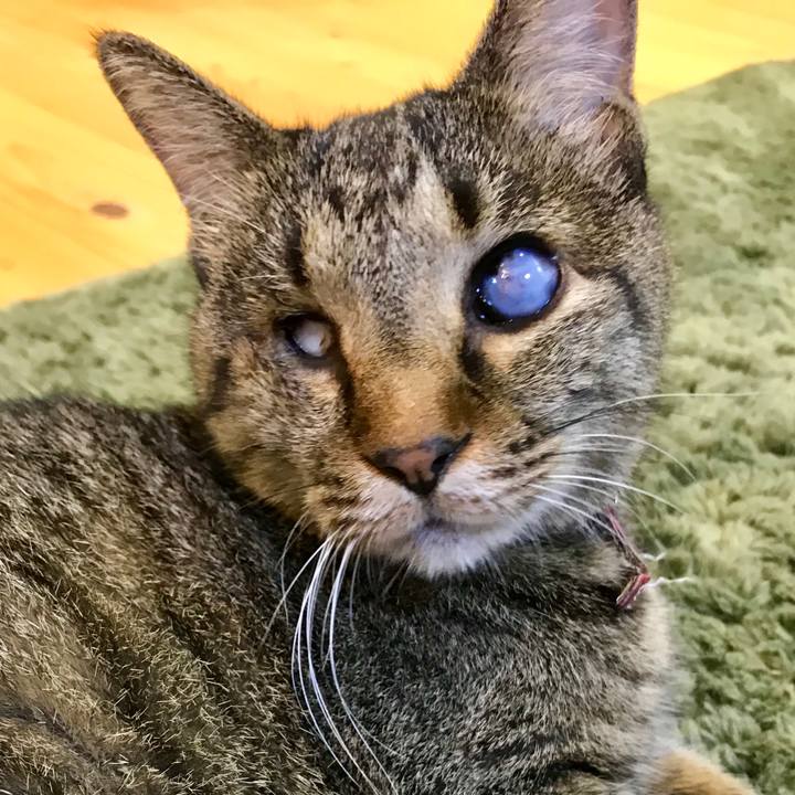 67532349 8f0b 45f8 9676 6ce840f0c16d 1535860414358