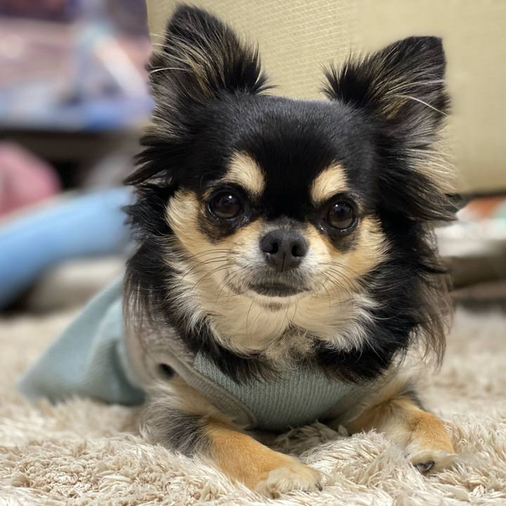 67534045 7383 4af1 8ae3 740fc393869a 1606601645593