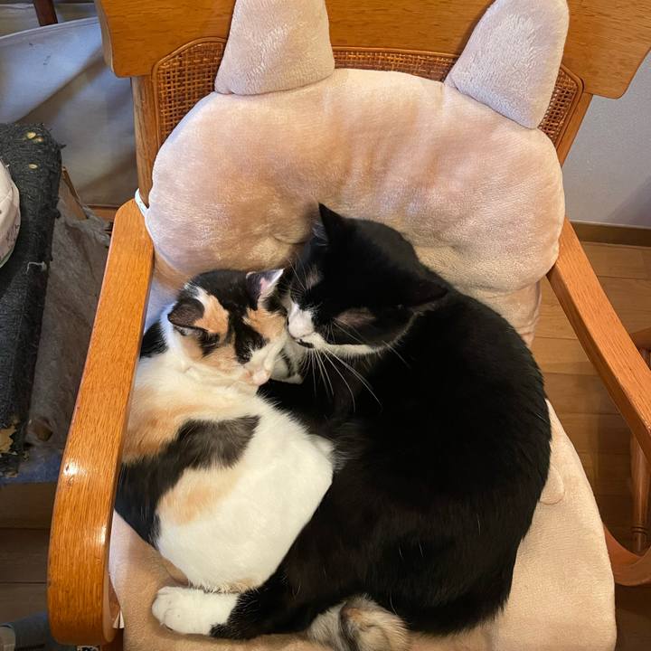 67535107 9a5c 447a b43e e78a486db698 1670628322552