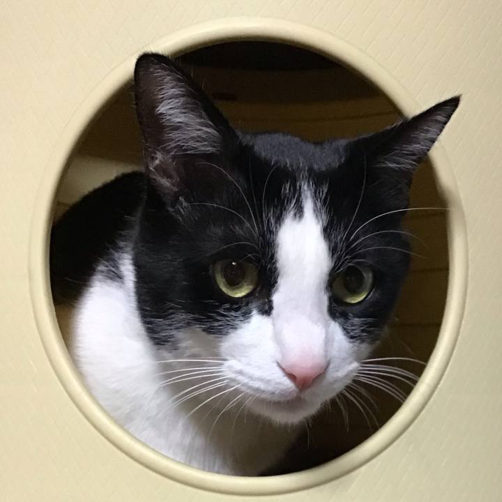 67535708 406c 4096 8dd2 e636befa708b 1744119561864