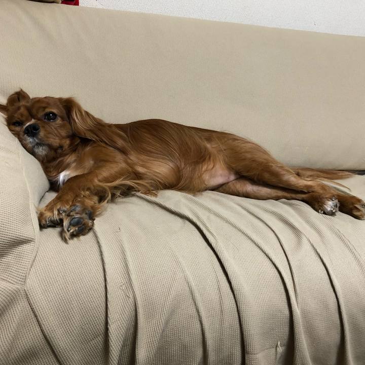 675374d3 bd35 42ec b309 debb8d796d35 1574858735378