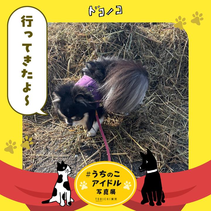 675387c7 2c77 49b7 848c 3aa467b1cb0a 1761526684728