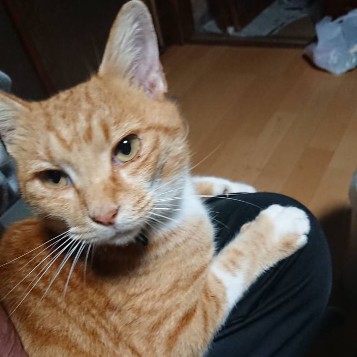 67538e99 e46a 40cc 9267 f6183449fda7 1602886126753