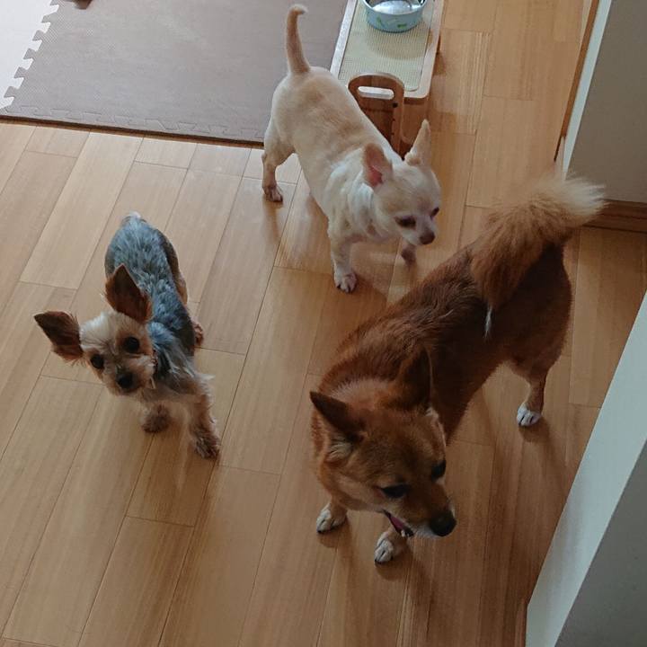 67539894 ff6c 42fc 84e0 b2d9d2f78c90 1563375133344