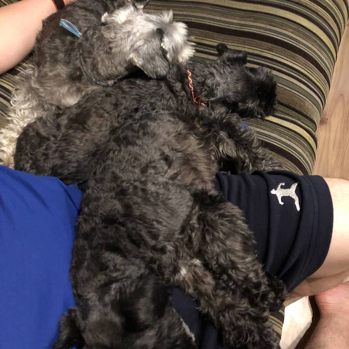 6753becf df1d 486b 9439 808f471d5e1a 1529155140465