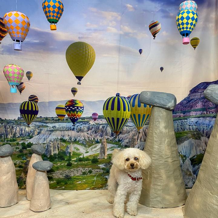 675406ed fc96 4a28 9890 ae0d3db46ed7 1628831428445