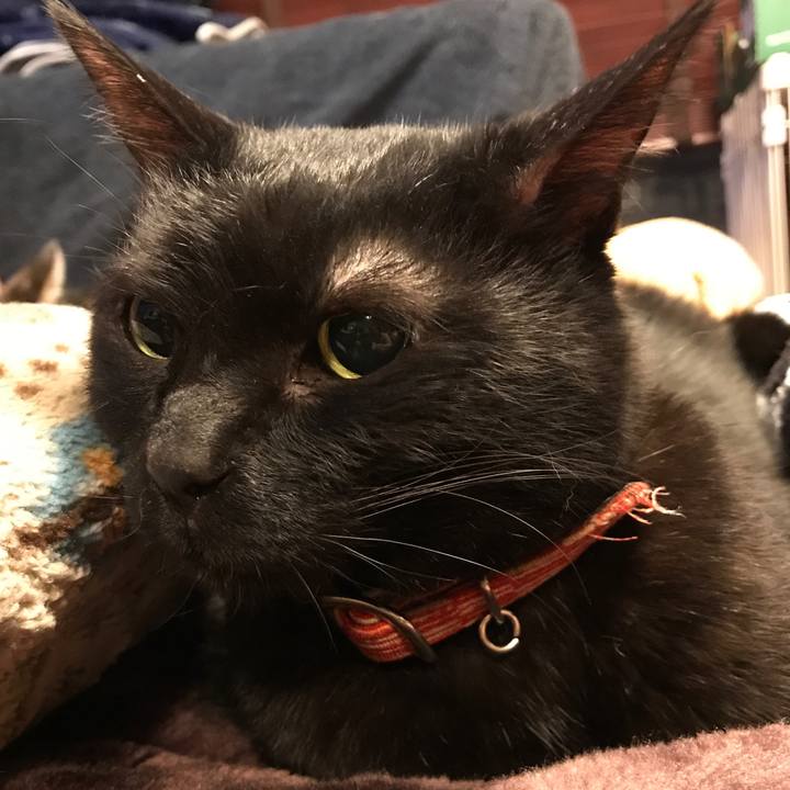 67544213 19ba 48b9 95fb e5edaee61cf5 1521133811065