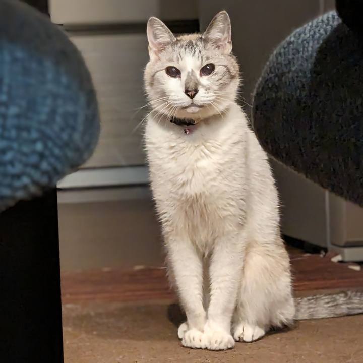 67545d52 2d49 4d11 b4de c38e615c5064 1716285516064