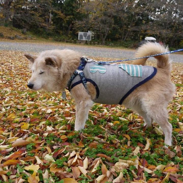 6754d0c2 b253 4e1a ba9b 28175d35d6a8 1574556506647