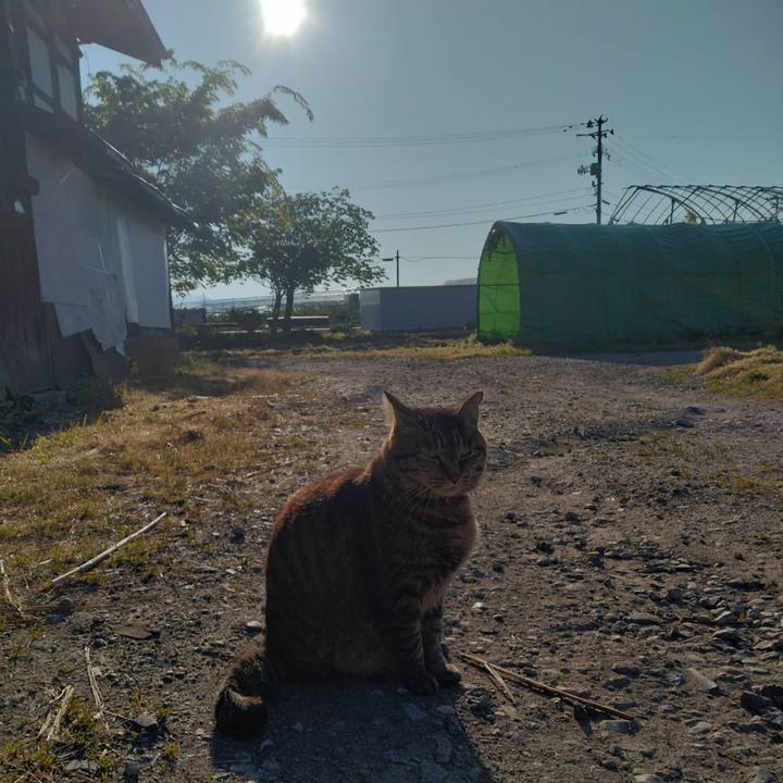 6754e608 7589 47b4 a450 a98288e5a9cd 1683845453697