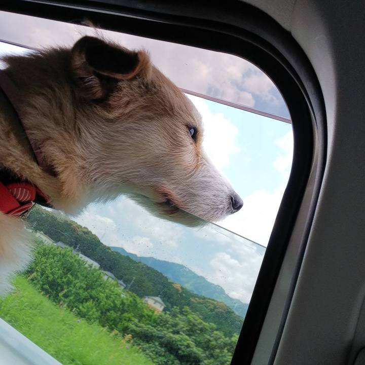 675503d5 03bb 4959 9ffd 3e79010f9b30 1525403607882