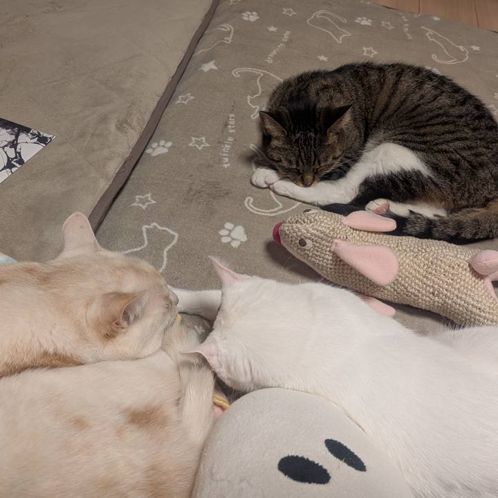 675518db 6ee9 4151 bcce 95e33b06baf0 1761092480547