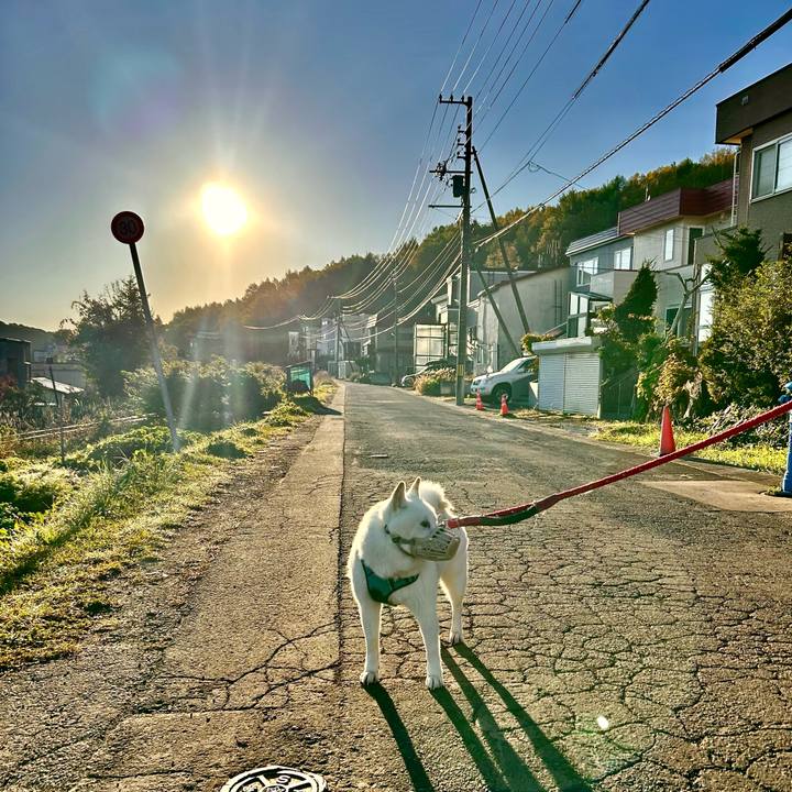 675527bb 0a30 4517 a3d8 1ab078263489 1728875756572