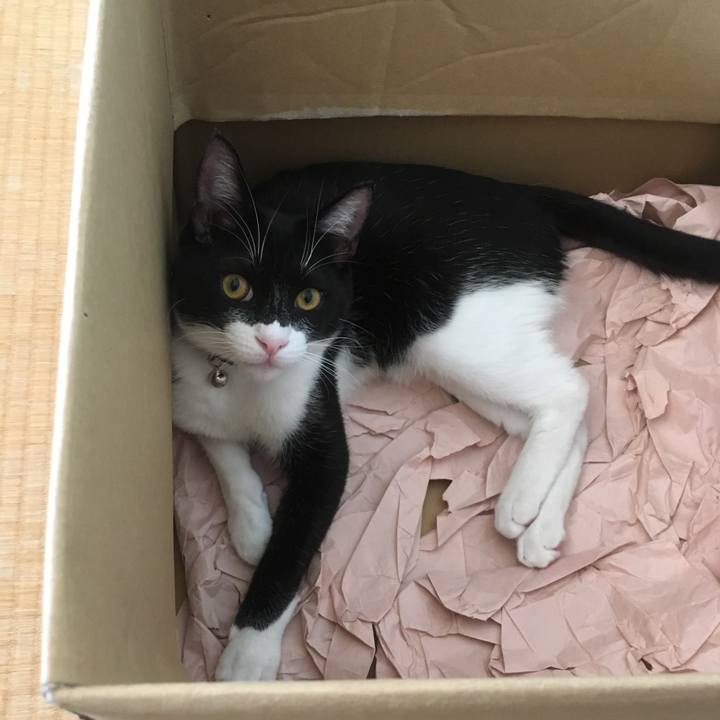 675547e5 9b60 49e2 91f3 93f280b3005b 1519277042481