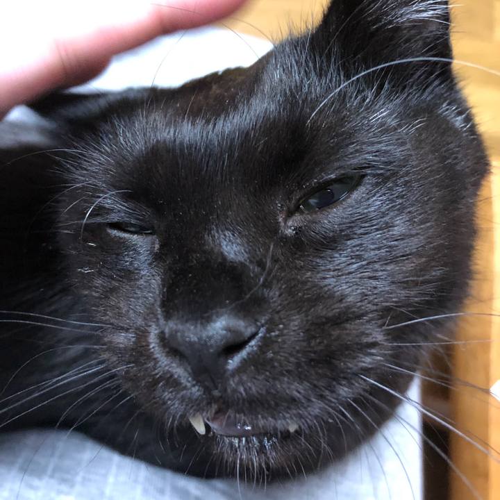 67555dcc 4150 4d39 b7c5 c886b3d17112 1594296828292