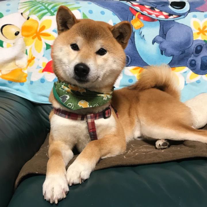 67558620 c395 4f16 991e 08c95b6980d2 1517225848034