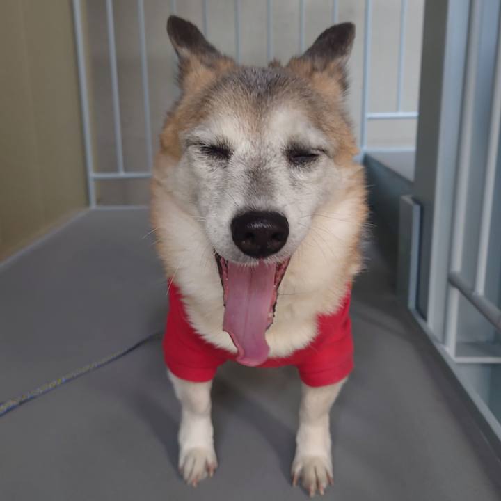 67558e94 d9f5 4e14 a1a0 55917abbdb87 1735286946750