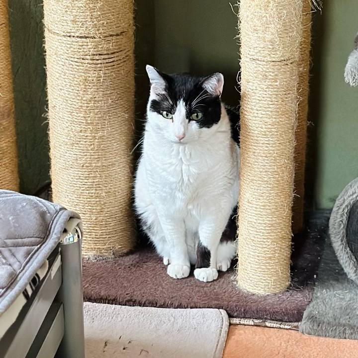 67559741 cde0 4c22 8a9c c683e16dfec8 1718506117920