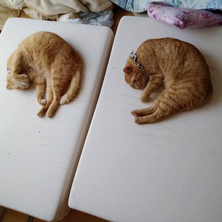 6755af37 008e 42a8 8a99 ece034dce06a 1599808022663