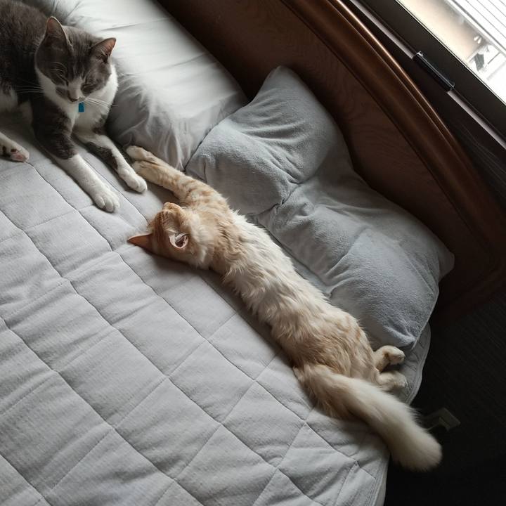 6755b834 9316 481c 86a2 0beb2b35599b 1617514415244